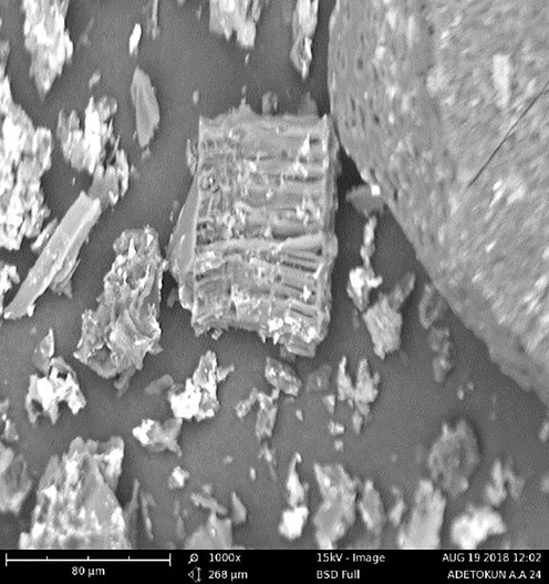 SEM image of AC after adsorption showing precipitates as flakes and grain-like structures.