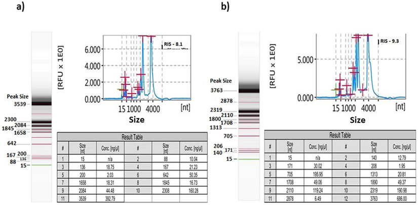 Electropherogram of total RNA isolated using acidic phenol : chloroform a) root b) shoot.