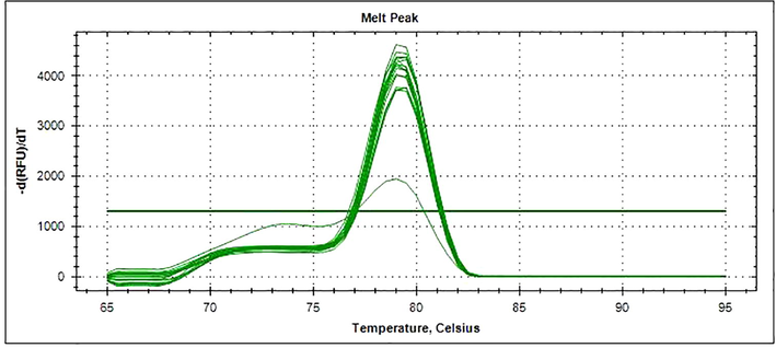 Melting curve generated for EIF1a gene by qPCR.