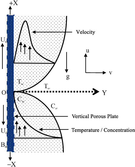 The physical configuration of the flow.