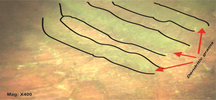 Optical micrograph (OM) of Cu-3Si alloy.