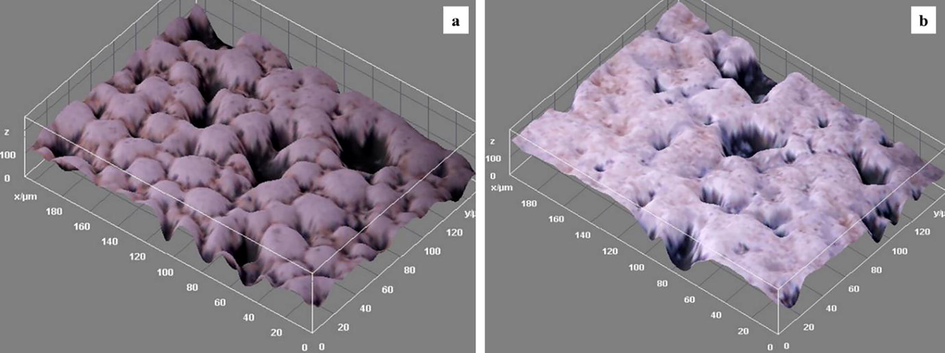 Representative 3-D surface morphology images (a) NZAl-1SiC, (b) NZAl-4SiC.