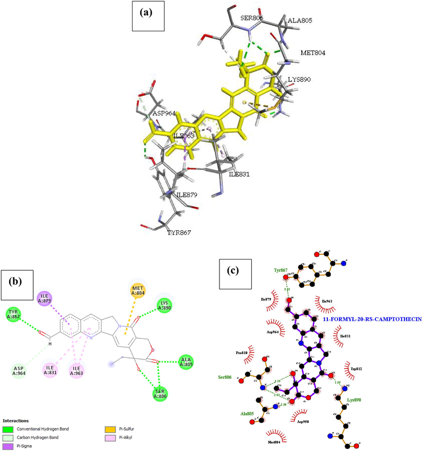 Docked poses of Phosphatidylinositol 4,5-bisphosphate 3-kinase catalytic subunit gamma isoform P13K (PDB ID: 4FA6) with11-Formyl-20-Rs-Camptothecin ligand (stick figure) (a) 3D 11-Formyl-20-Rs-Camptothecin with surrounding amino acids of 4FA6; (b) 2D view of interaction type of 11-Formyl-20-Rs-Camptothecin with surrounding amino acids of 4FA6; (c) 2D view of internuclear distance for hydrogen bond interaction of 11-Formyl-20-Rs-Camptothecin with surrounding amino acids of 4FA6.