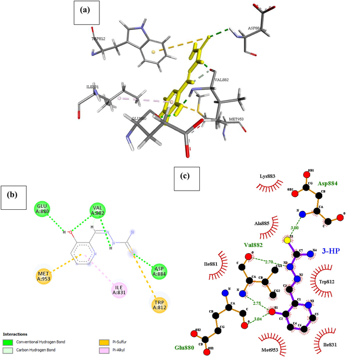 Docked poses of Phosphatidylinositol 4,5-bisphosphate 3-kinase catalytic subunit gamma isoform P13K (PDB ID: 4FA6) with3HP ligand (stick figure) (a) 3D 3HP with surrounding amino acids of 4FA6; (b) 2D view of interaction type of 3HP with surrounding amino acids of 4FA6; (c) 2D view of internuclear distance for hydrogen bond interaction of 3HP with surrounding amino acids of 4FA6.