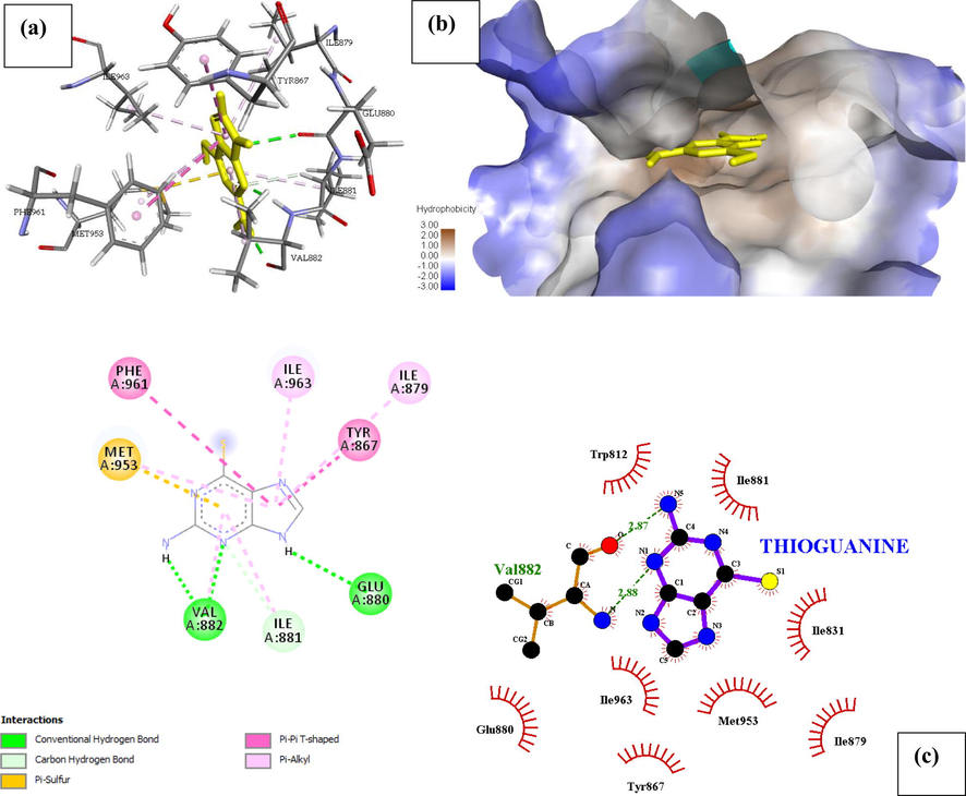 Docked poses of Phosphatidylinositol 4,5-bisphosphate 3-kinase catalytic subunit gamma isoform P13K (PDB ID: 4FA6) with Thioguanine ligand (stick figure) (a) 3D Thioguanine with surrounding amino acids of 4FA6; (b) Thioguanine with 4FA6 (hydrophobicity surface) at the active binding site; (c) 2D view of interaction type of Thioguanine with surrounding amino acids of 4FA6.
