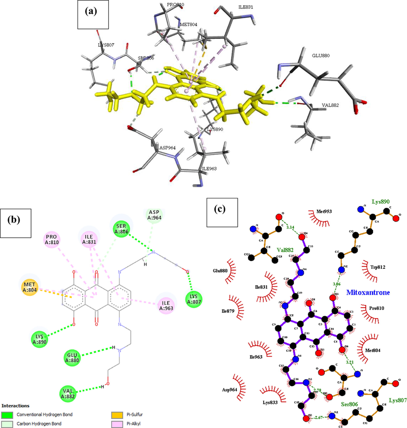 Docked poses of Phosphatidylinositol 4,5-bisphosphate 3-kinase catalytic subunit gamma isoform P13K (PDB ID: 4FA6) with Mitoxanthrone ligand (stick figure) (a) 3D Mitoxanthrone with surrounding amino acids of 4FA6; (b) 2D view of interaction type of Mitoxanthrone with surrounding amino acids of 4FA6; (c) 2D view of internuclear distance for hydrogen bond interaction of Mitoxanthrone with surrounding amino acids of 4FA6.