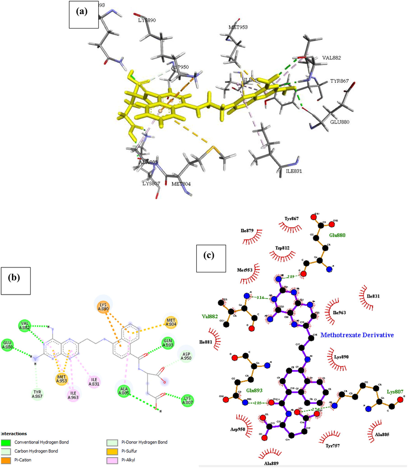 Docked poses of Phosphatidylinositol 4,5-bisphosphate 3-kinase catalytic subunit gamma isoform P13K (PDB ID: 4FA6) with Methotrexate Derivative ligand (stick figure) (a) 3D Methotrexate Derivative with surrounding amino acids of 4FA6; (b) 2D view of interaction type of Methotrexate Derivative with surrounding amino acids of 4FA6; (c) 2D view of internuclear distance for hydrogen bond interaction of Methotrexate Derivative with surrounding amino acids of 4FA6.