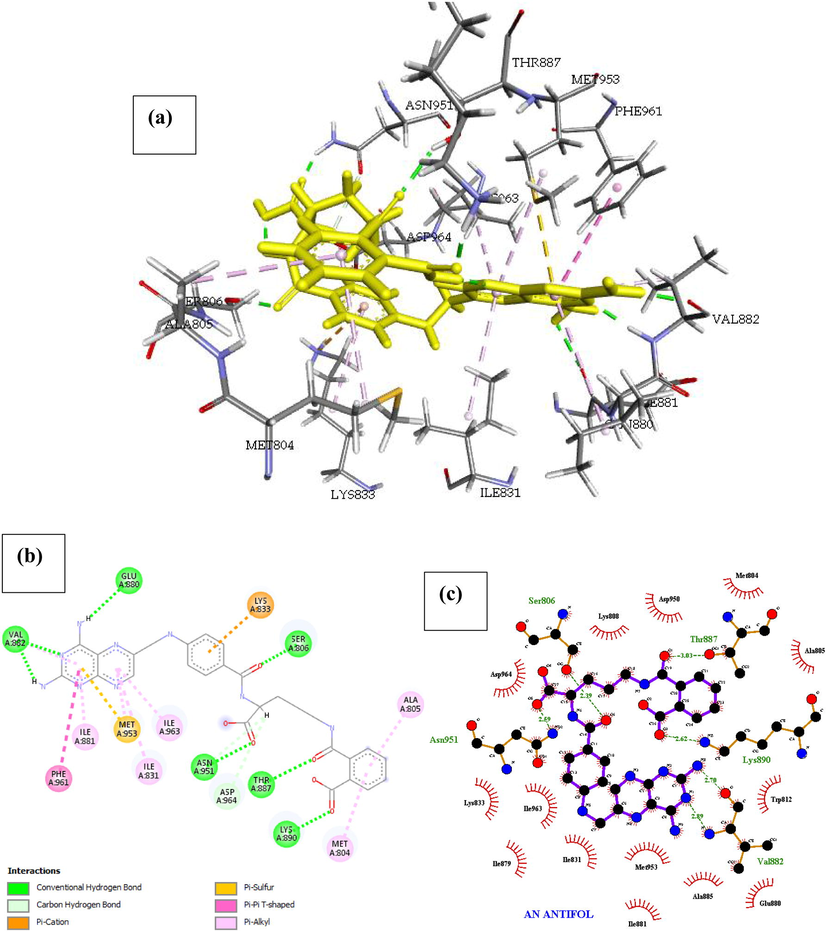 Docked poses of Phosphatidylinositol 4,5-bisphosphate 3-kinase catalytic subunit gamma isoform P13K (PDB ID: 4FA6) with An Antifol ligand (stick figure) (a) 3D An Antifol with surrounding amino acids of 4FA6; (b) 2D view of interaction type of An Antifol with surrounding amino acids of 4FA6; (c) 2D view of internuclear distance for hydrogen bond interaction of An Antifol with surrounding amino acids of 4FA6.