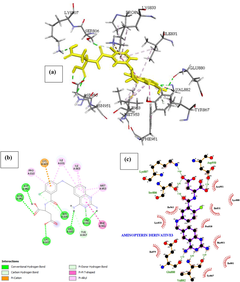 Docked poses of Phosphatidylinositol 4,5-bisphosphate 3-kinase catalytic subunit gamma isoform P13K (PDB ID: 4FA6) with Aminopterin Derivative 3 ligand (stick figure) (a) 3D Aminopterin Derivative 3 with surrounding amino acids of 4FA6; (b) 2D view of interaction type of Aminopterin Derivative 3 with surrounding amino acids of 4FA6; (c) 2D view of internuclear distance for hydrogen bond interaction of Aminopterin Derivative 3 with surrounding amino acids of 4FA6.