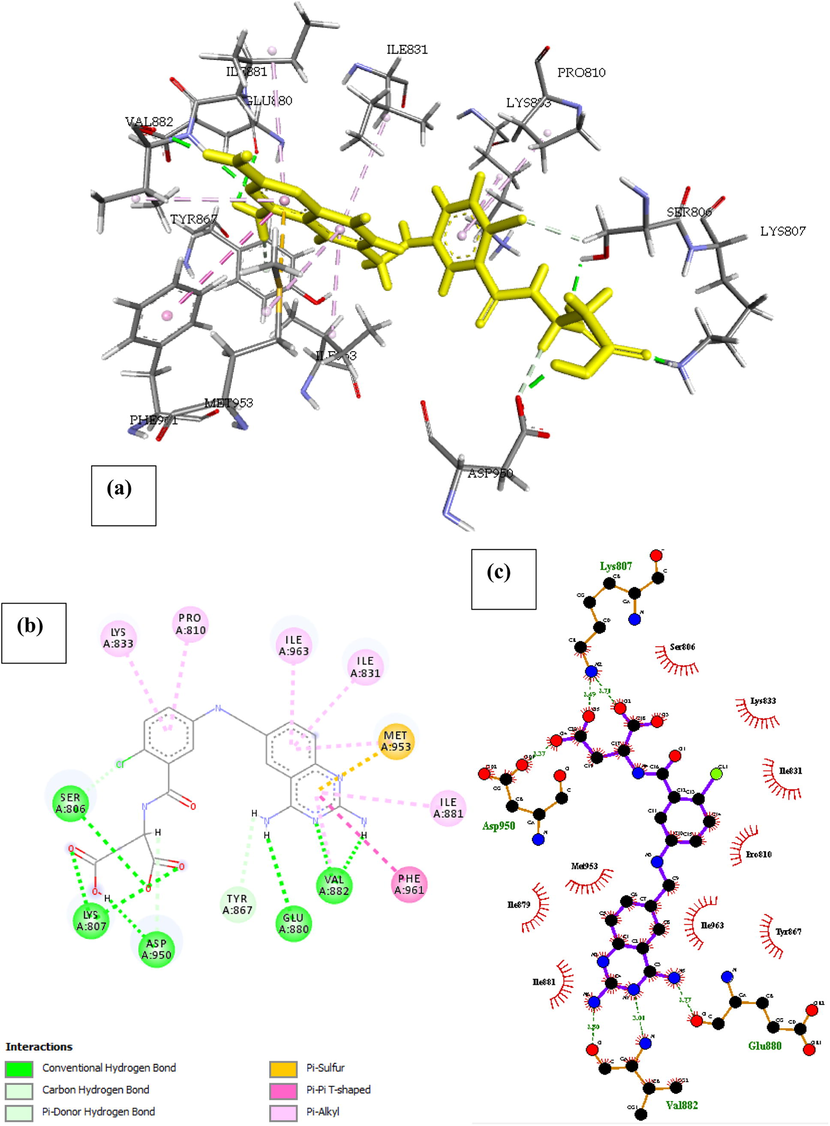 Docked poses of Phosphatidylinositol 4,5-bisphosphate 3-kinase catalytic subunit gamma isoform P13K (PDB ID: 4FA6) with 11-Hydroxmethyl-20(Rs)-Camptothecin ligand (stick figure) (a) 3D 11-Hydroxmethyl-20(Rs)-Camptothecin with surrounding amino acids of 4FA6; (b) 2D view of interaction type of 11-Hydroxmethyl-20(Rs)-Camptothecin with surrounding amino acids of 4FA6; (c) 2D view of internuclear distance for hydrogen bond interaction of 11-Hydroxmethyl-20(Rs)-Camptothecin with surrounding amino acids of 4FA6.