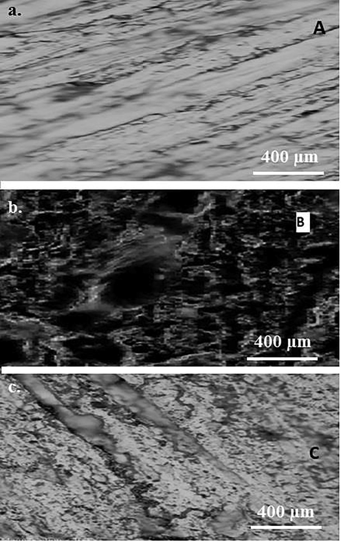 Carbon steel sample (a) Polished surface before exposure, (b) surface after 6 h exposure to 1 M HCl, (c) and surface morphology of steel sample exposed to 1 M HCl containing 0.5 g/l SM extract.