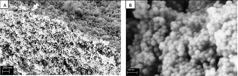 SEM micrographs of PLA homopolymers with magnifications a) 25 K and b) 100 K with average particle diameter 40-80 nm.