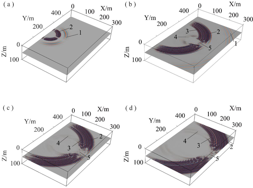 Snapshot slice of Y-component wave field: (a) Snapshot of wave field at 40 ms; (b) Snapshot of wave field at 120 ms; (c) Snapshot of wave field at 160 ms; (d) Snapshot of wave field at 200 ms.