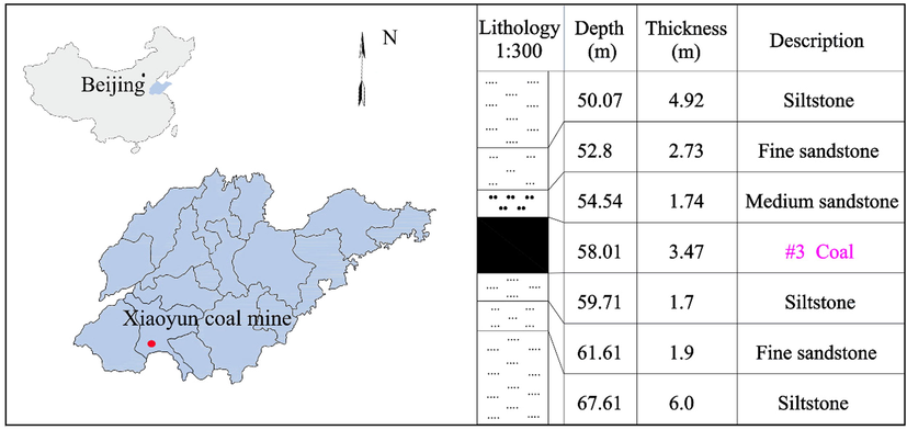 Geological profile.