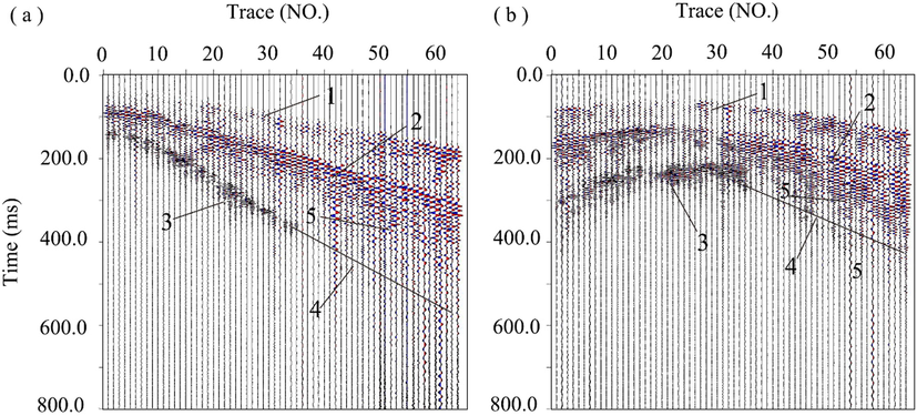 Primary seismic records.