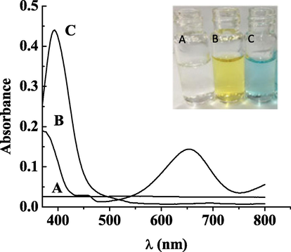 UV absorption spectroscopy of Hg2++TMB(A); DHPC@CS-AgNPs + TMB(B); DHPC@CS-AgNPs + TMB + Hg2+ (C).