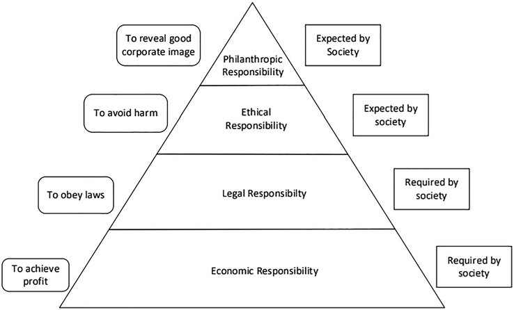 Carroll pyramid of CSR.