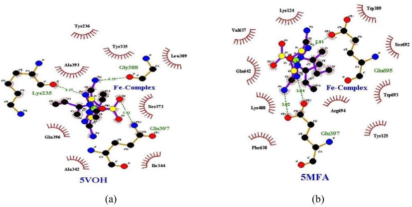 Docking poses of [Fe(C5H11N3S)2(SO4)] with (a) NADPH and (b) MPO.