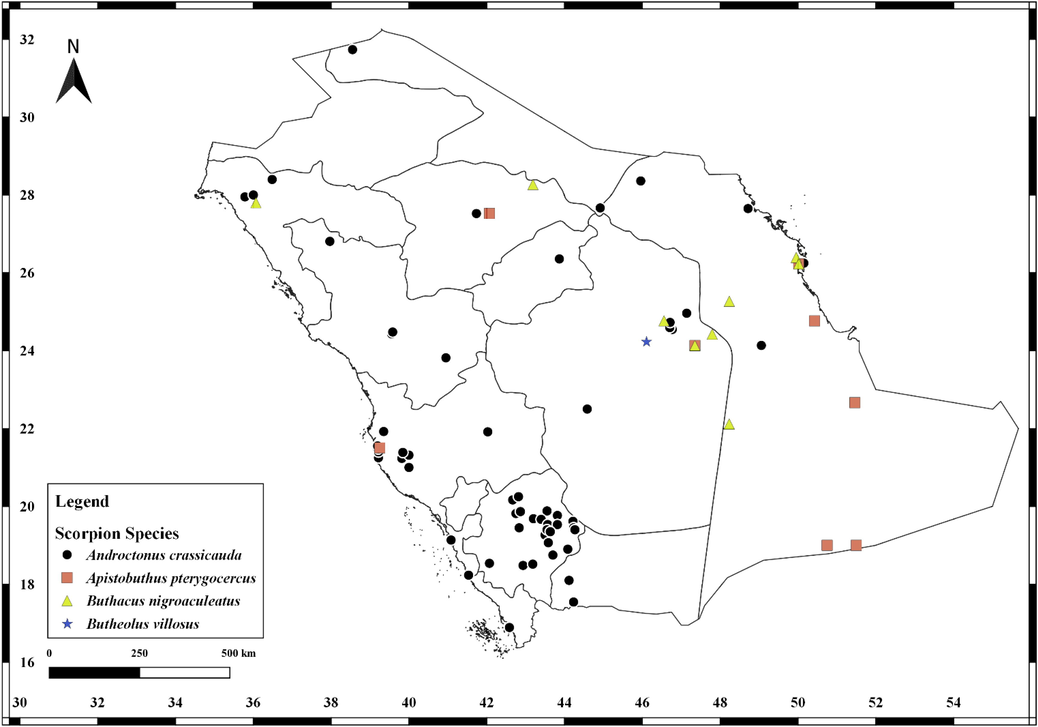 Distribution records of Androctonus crassicauda (Olivier, 1807), Apistobuthus pterygocercus Finnegan 1932, Buthacus nigroaculeatus (Levy, Amitai & Shulov 1973) and Butheolus villosus Hendrixson, 2006 in Saudi Arabia.