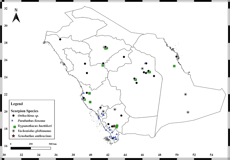 Distribution records of Orthochirus sp. Levy, Amitai & Shulov, 1973, Parabuthus liosoma (Ehrenberg, 1828), Trypanothacus buettikeri (Hendrixson, 2006), Vachoniolus globimanus Levy, Amitai et Shulov, 1973 and Xenobuthus anthrathracinus (Pocock, 1895) in Saudi Arabia.