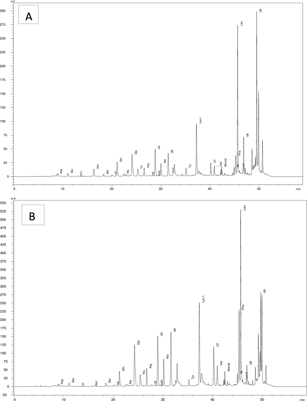 HPLC chromatogram for amino acid analysis (A) acacia honey from Germany and (B) sider honey from KSA.