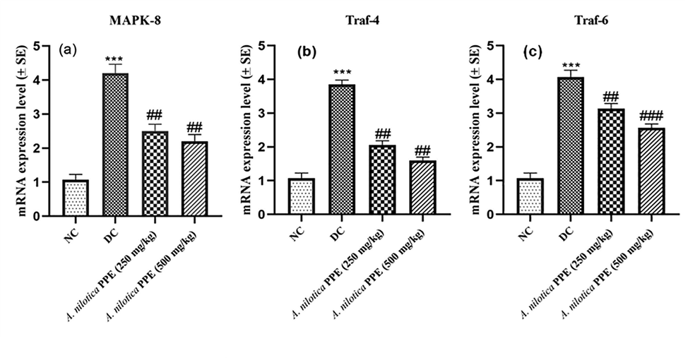 a–c: Expression profiles of a) MAPK-8 gene b) TRAF-4 gene c) TRAF-6 gene.