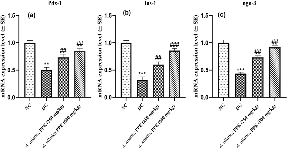 a–c: Expression profiles of a) Pdx-1 gene b) Ins-1 gene c) ngn-3 gene.