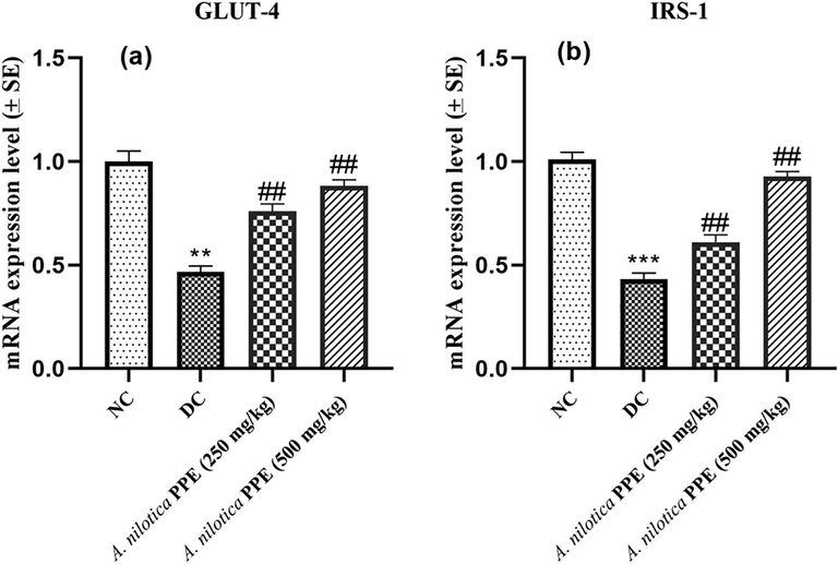 a–b: Expression profiles of a) GLUT-4 gene b) IRS-1 gene.