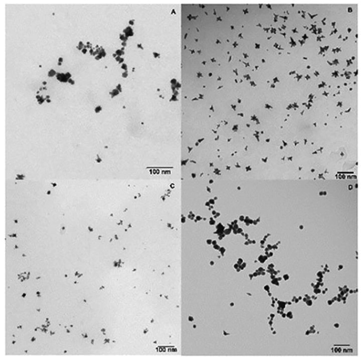 Four images captured through TEM of AuNPs through various morphologies with different pH values.