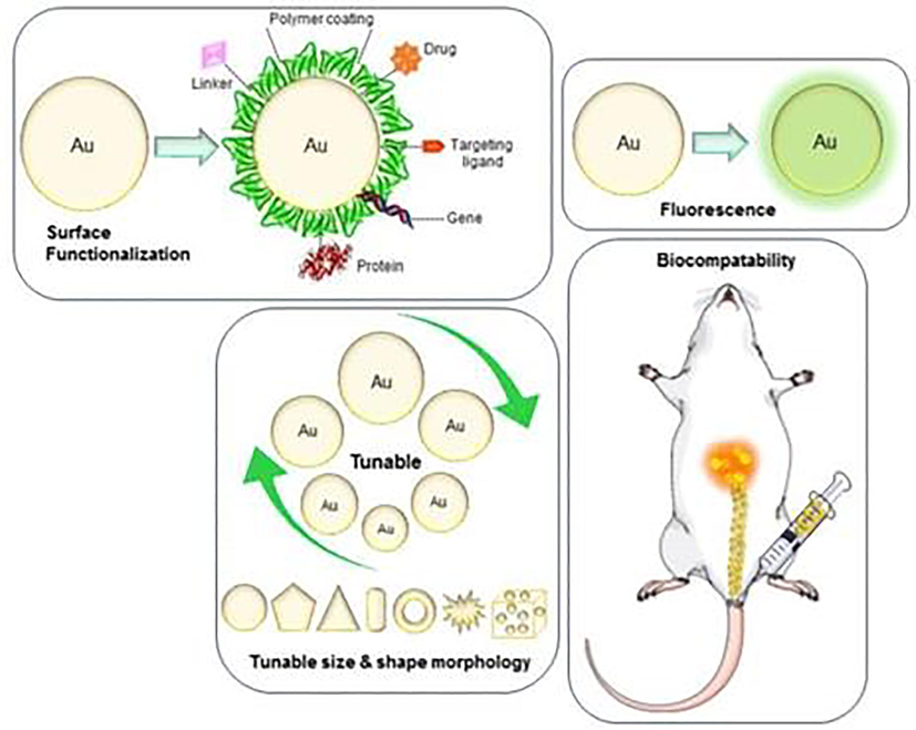 Due to the elevated optical and Surface Plasmon Resonance (SPR) properties of gold nanoparticles, it has become the first option for researchers, especially in the biological and pharmaceutical fields.