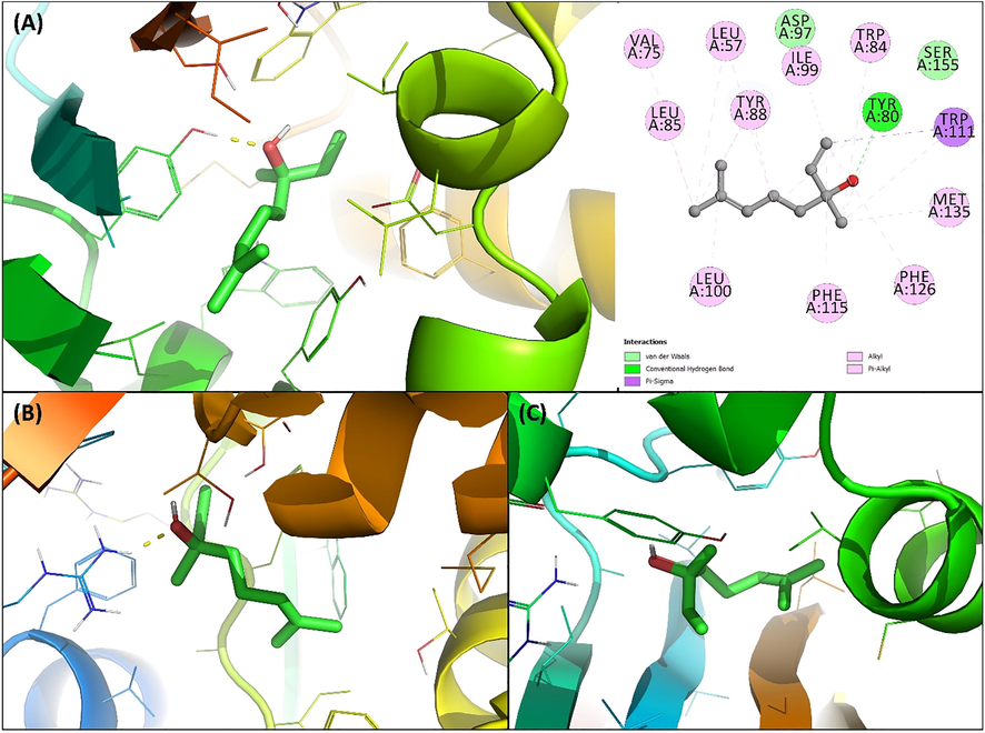 (A) Docked pose of coumarin to CviR′ complexed with linalool. (B) Docked pose of coumarin to LasI complexed with linalool. (D) Docked pose of coumarin to LasR complexed with linalool.
