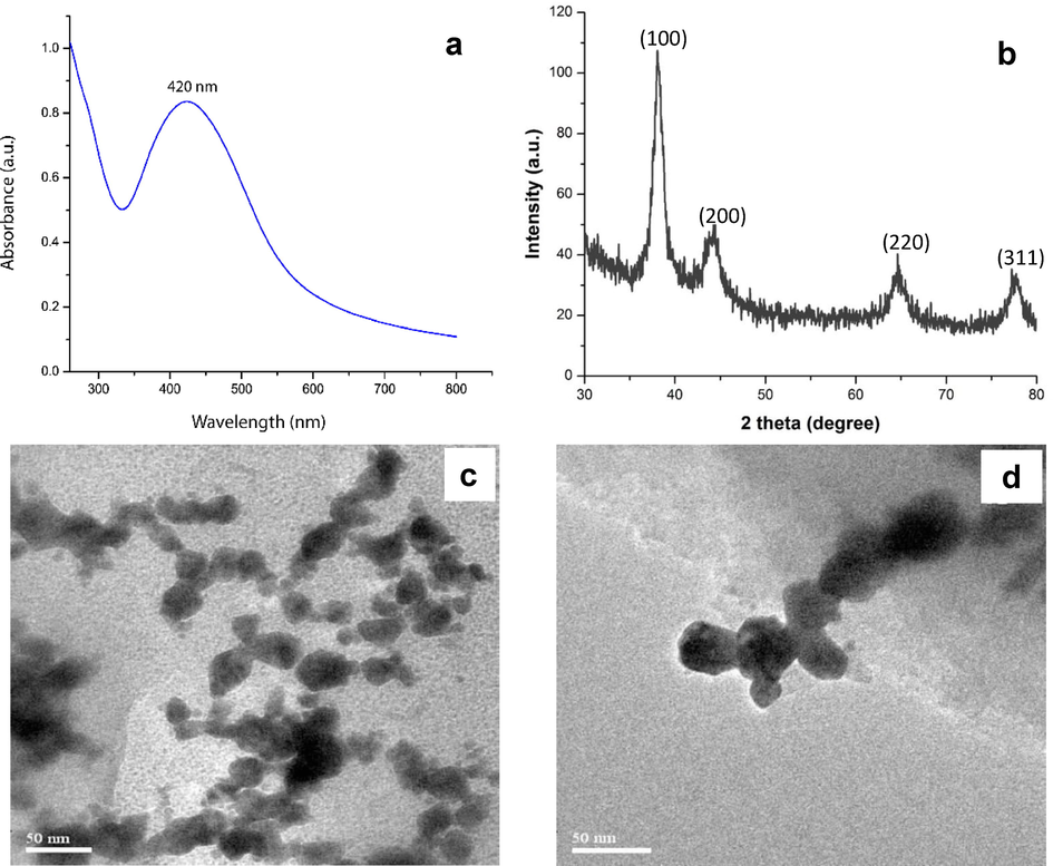 (a) UV–Visible absorption spectra of AgNPs synthetized using the extract of Persea Americana fruit (b) XRD pattern of AgNPs synthetized using the extract of Persea Americana fruit (c and d) TEM micrograph of AgNPs synthetized using the extract of Persea americana fruit (scale bar 50 nm).