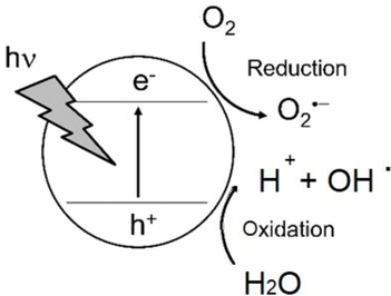 Reactive oxygen species formation in TiO2 via UV irradiation (Hirakawa, 2015).