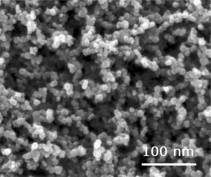 SEM for the TiO2:Mn nanopowder based on the rutile crystalline phase.