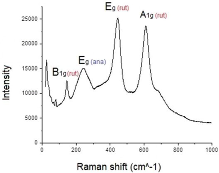 The Raman Spectrum of the TiO2:Mn film.