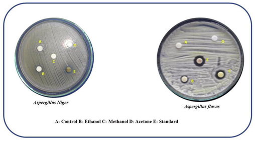 Anti-fungal activity of nanomaterial against Aspergillus niger and Aspergillus flavus.