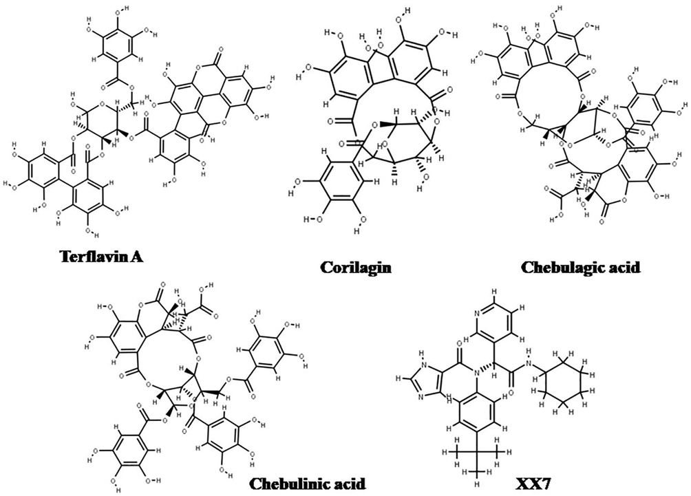 Chemical structures of best-docked compounds and native ligand X77.