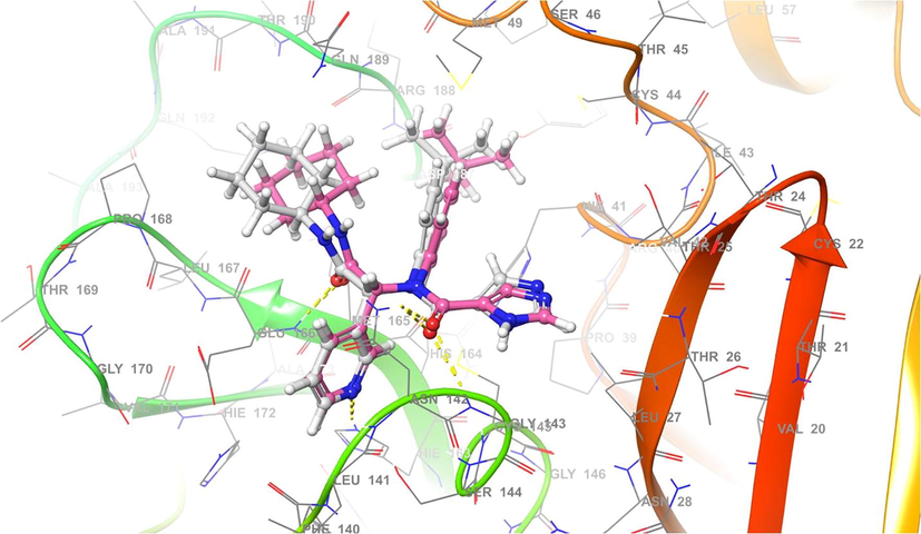 Redocking of X77 in the original binding site of Mpro. Superimposed conformation of the experimental ligand with the native ligand, X77. Gray indicates X77 docked and pink indicates X77cocrystal.