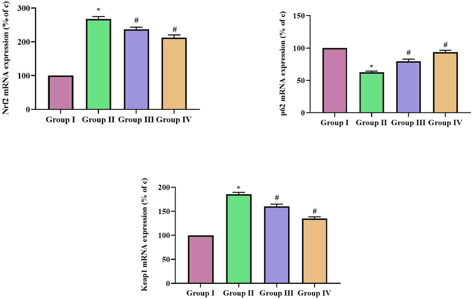 Effect of SCP-D-P nanocomposites on p62/Keap1/Nrf2 signaling in diabetic induced rats. The non diabetic control (Group I), diabetic induced (Group II), diabetic induced SCP-D-P nanocomposites low (Group III) and high dose (Group IV) treated rats were assessed for p62, Keap1, Nrf2 gene expression using RT-PCR analysis. The percentage of increase gene expression was assessed with Quantity One Software and the values were depicted as graph. Each bar shows the mean ± SD of triplicates and ‘#’ p < 0.05 was considered as statistically significant.