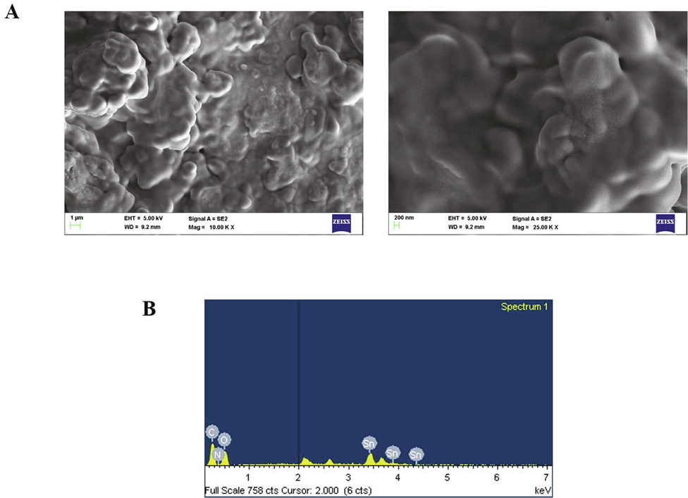 Characterization of nanocomposites. Field emission scanning electron microscopic analysis & EDAX analysis of synthesized SCP-D-P nanocomposite.