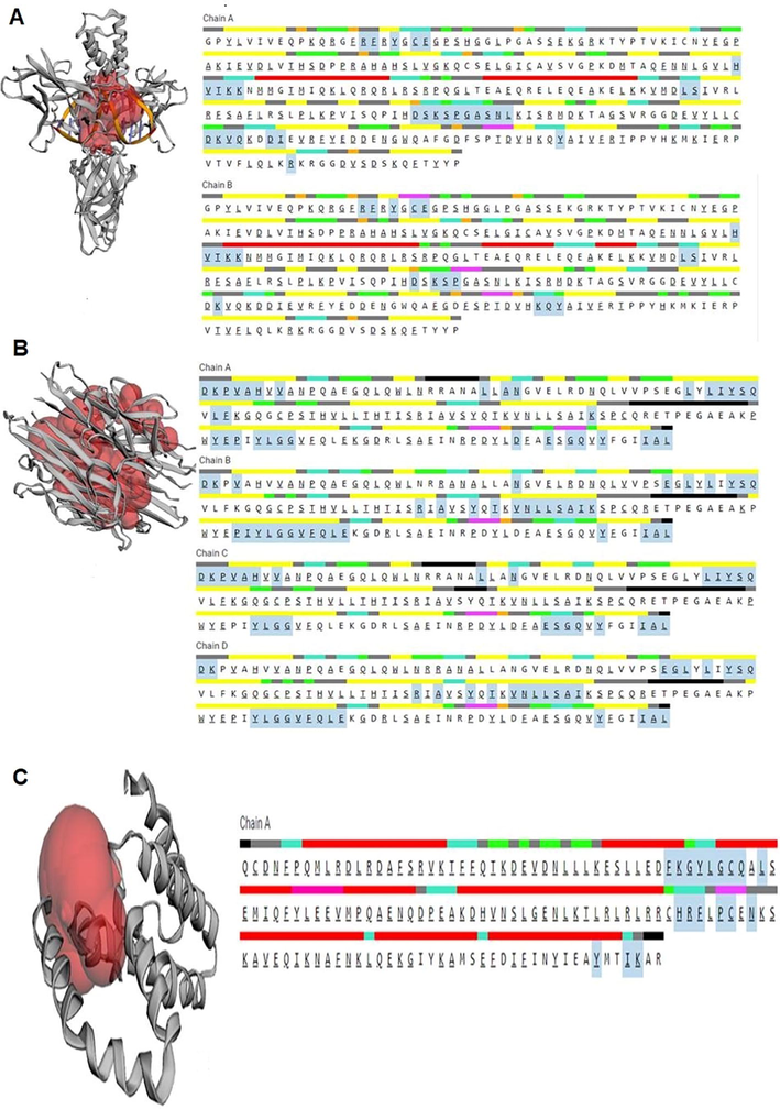 Binding pocket (red color) obtained from CASTp tool along with the sequence which shows the highlighted residues forming the binding pocket. A) IL 10 B) TNF Alfa c) NF-kappa B p52.