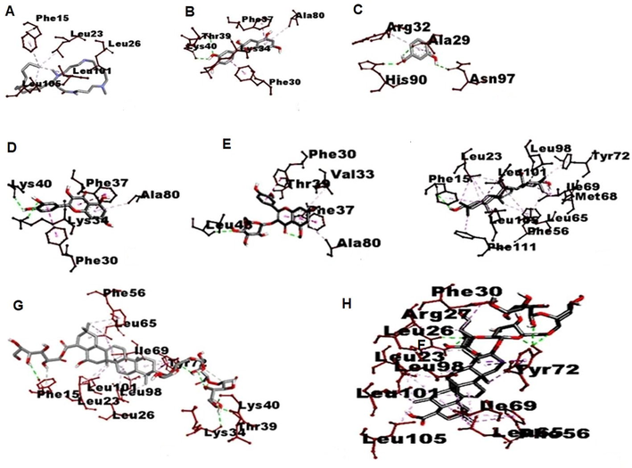 3D visualization of type of Interaction on interleukin 10. A. Budmunchiamine B. Catechin C. Protocatechuic acid D. Quercetin E. Isoquercetin F. Machaerinic acid G. Compound 1 H. Compound 2 I. Levamisole.