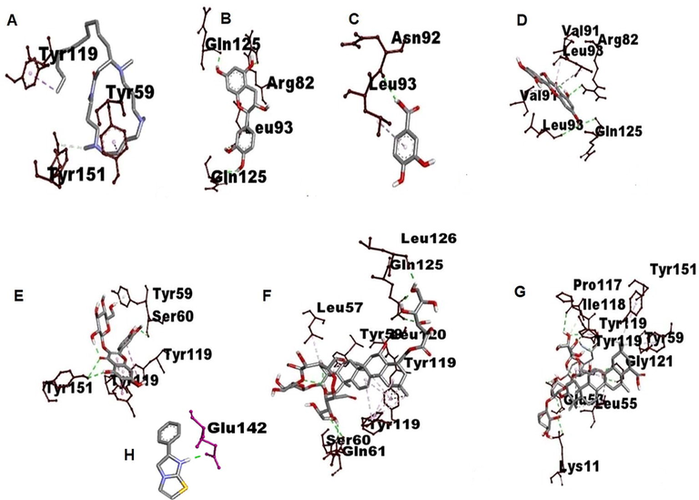 3D visualization of type of Interaction on TNF alfa. A. Budmunchiamine B. Catechin C. Protocatechuic acid D. Quercetin E. Isoquercetin F. Machaerinic acid G. Compound 1 H. Compound 2.