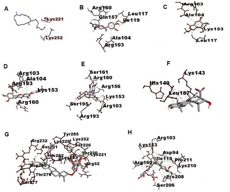 3D visualization of type of Interaction on NfKB. A. Budmunchiamine B. Catechin C. Protocatechuic acid D. Quercetin E. Isoquercetin F. Machaerinic acid G. Compound 1 H. Compound 2 I. levamisole.