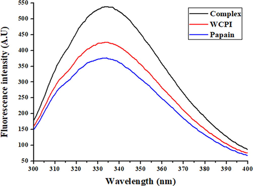 Fluorescence spectra of WCPI alone, papain, and WCPI in complex with papain. Fluorescence spectra were measured at excitation wavelength of 280 nm and emission recorded in the range of 300–400 nm. The concentration of phytocystatin was 2 μM. The fluorescence of WCPI-papain complex was measured at a molar ratio of 1:1. The slit width was 5 nm for excitation and 5 nm for emission beams.