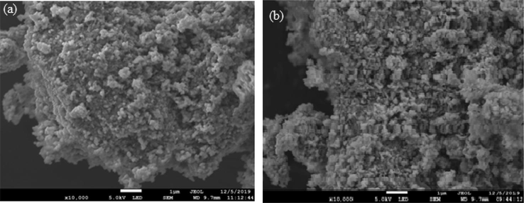 (a) SEM image pure CuO nanoparticle; (b) SEM image of Ni doped CuO nanoparticles.