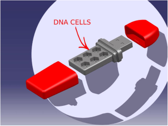 The internal structure of the developed biotechnical hardware.