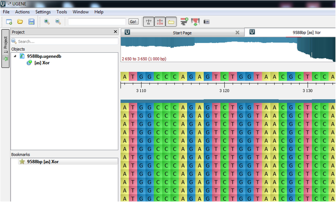 DNA chain sequence results.