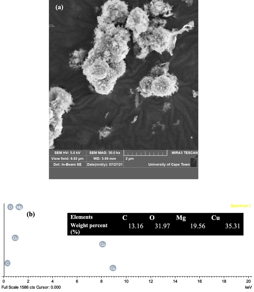 showing (a) SEM images of CuO-MgO nanocomposite, (b) the EDS spectrum of CuO-MgO nanocomposite showing clearly the chemical elements. Inset is a table of the weight percentage of the chemical elements present in the sample.