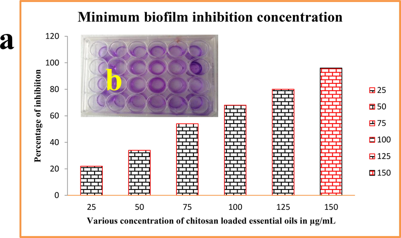 Quantitative measurement of biofilm inhibition concentration against Acinetobacter Baumannii using chitosan loaded essential oils.